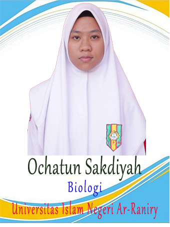 logo gambar